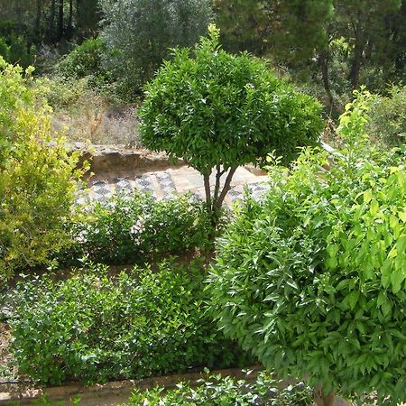 بينهافيس Apartamento Los Naranjos الغرفة الصورة