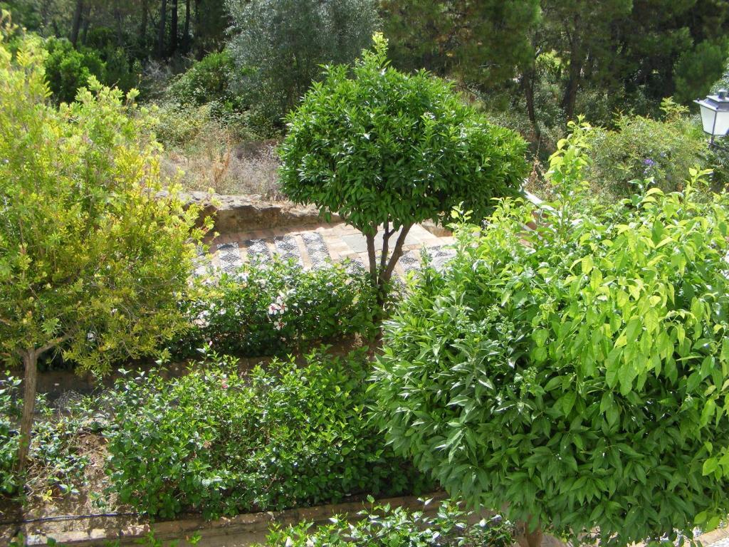 بينهافيس Apartamento Los Naranjos الغرفة الصورة